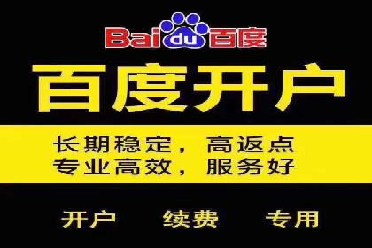 百度推广费用预算：案例分析及建议