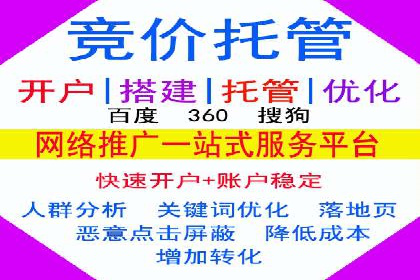 竞价推广实战：案例分析行业领军企业的成功之道